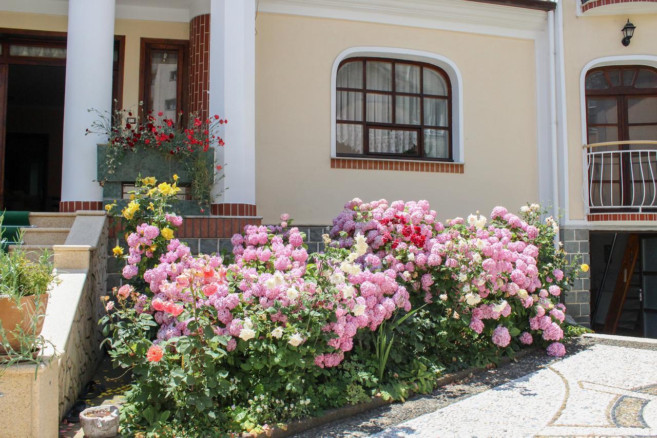 Vila Topciu Pogradec Eksteriør bilde